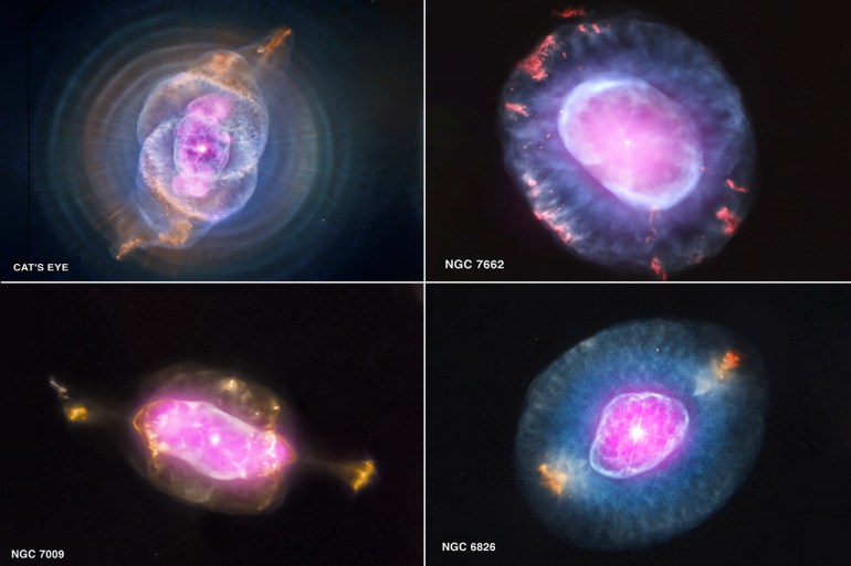 This gallery shows four planetary nebulas from the first systematic survey of such objects in the solar neighborhood made with NASA's Chandra X-ray Observatory. The planetary nebulas shown here are NGC 6543, also known as the Cat's Eye, NGC 7662, NGC 7009 and NGC 6826. In each case, X-ray emission from Chandra is colored purple and optical emission from the Hubble Space Telescope is colored red, green and blue. In the first part of this survey, published in a new paper, twenty one planetary nebulas within about 5000 light years of the Earth have been observed. The paper also includes studies of fourteen other planetary nebulas, within the same distance range, that Chandra had already observed.