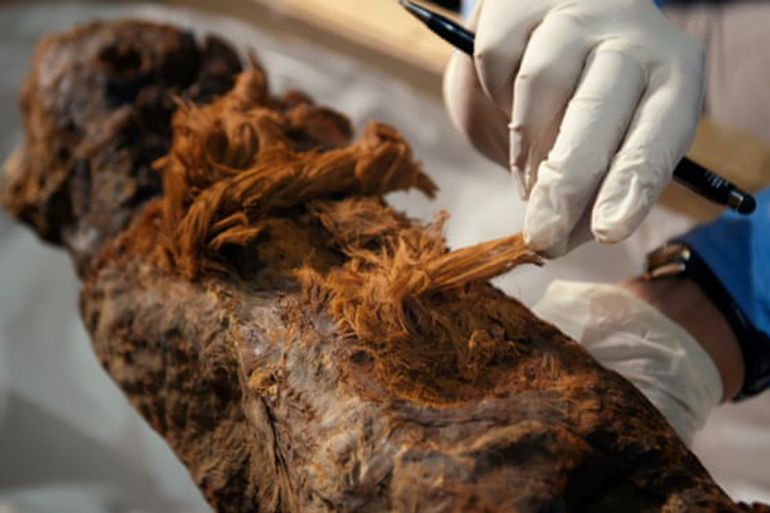 A scientist examines the Khuwy mummy, discovered in 2019. Photograph: Ian Glatt/National Geographic/Windfall Films