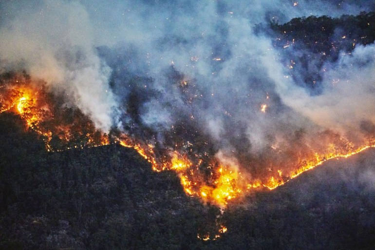 Fire front, wall of fire, line of fire, forest fire, bushfire in the valley, Blue Mountains, Australia