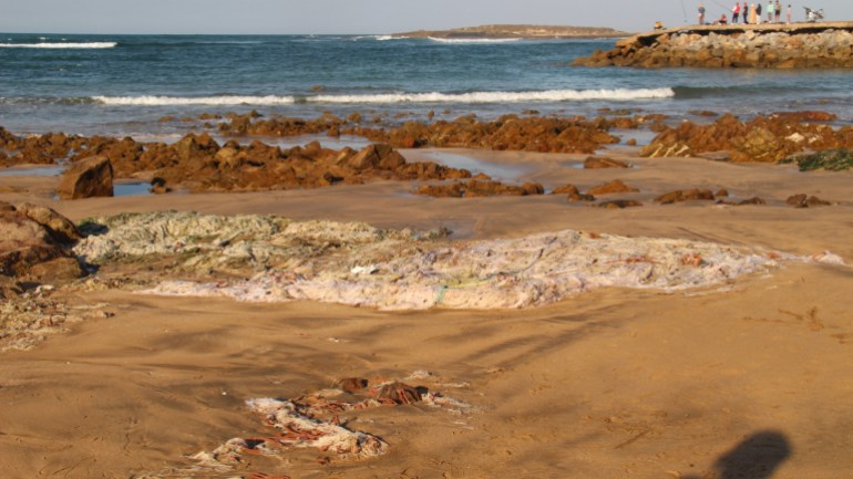 الصورة 1: سناء القويطي/ الصخيرات/ شباك الصيد مرمية في شاطئ الصخيرات ضواحي الرباط المصدر: الجزيرة