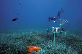 A researcher from the Max Planck Institute for Marine Microbiology taking samples in seagrass meadows in the Mediterranean Sea. The measuring device determines the oxygen content in the seabed. source: Hydra Marine Sciences GmbH