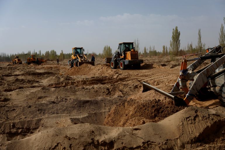 The Wider Image: The Great Green Wall: China's farmers push back the desert one tree at a time