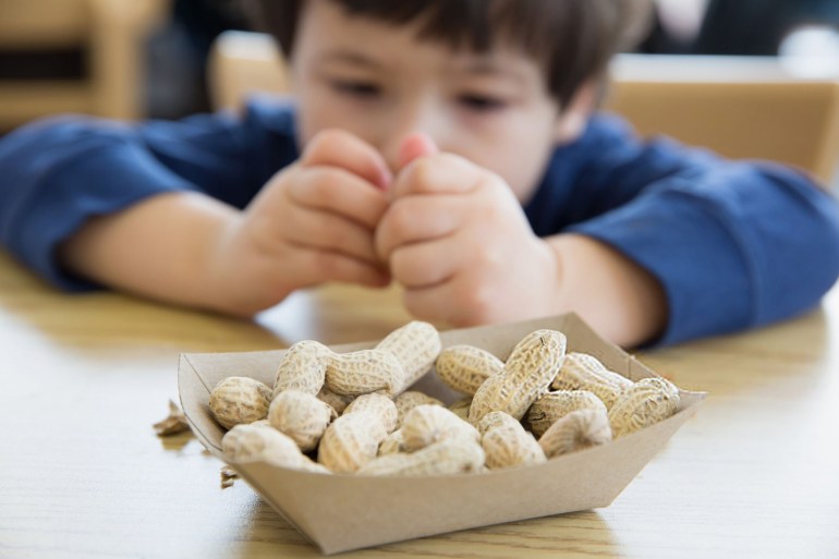 Little boy eating peanuts - stock photo