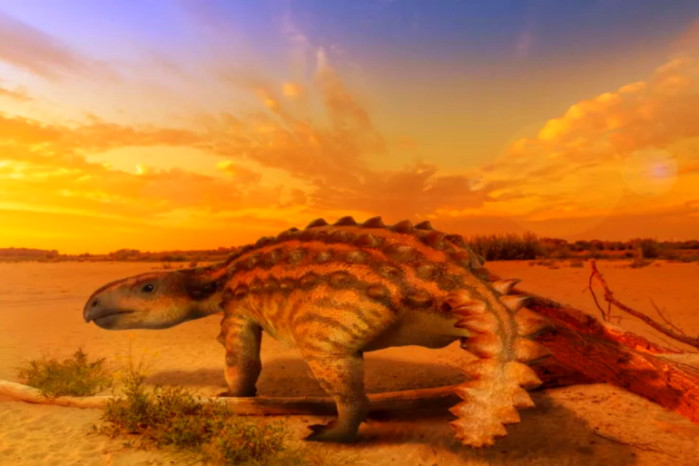 الكشف عن "أنكيلوصور" له ذيل مدرع قاتل لا مثيل له في أي ديناصور معروف آخر