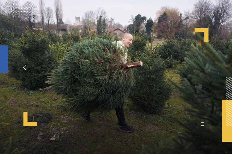 CAMBRIDGE, ENGLAND - NOVEMBER 28: A Christmas tree is carried to be netted at the Cambridge Christmas Tree Experience on November 28, 2020 in Cambridge, England. The family run farm has been growing trees for over thirty years, allowing you to walk around their plantation and select your very own freshly cut tree. This year special measures were in place to keep families safely socially distanced while selecting and purchasing their trees. (Photo by Gareth Cattermole/Getty Images)