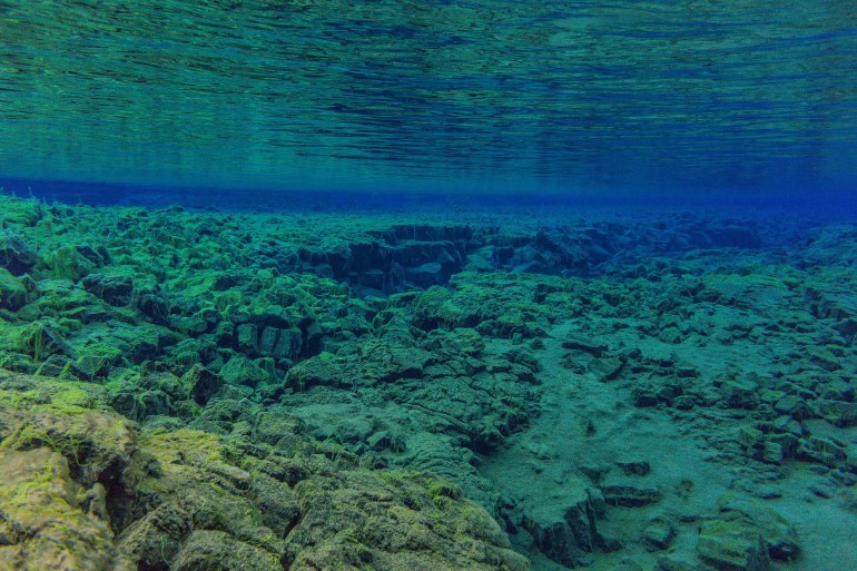 رواسب المحيطات يمكنها حفظ العوالق في قاع البحر (بيكسابي)