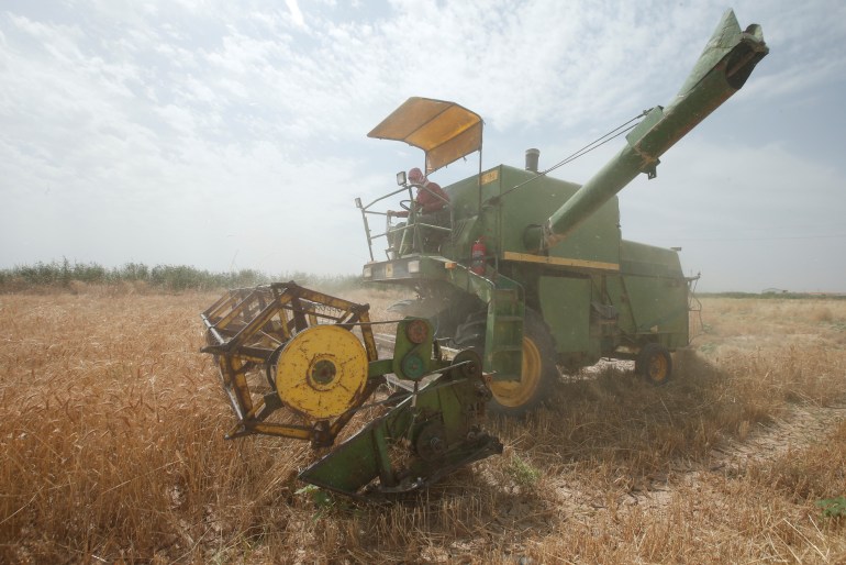 Worker drives a wheat and barley machine to harvest the wheat crops in Bartella, east of Mosul,
