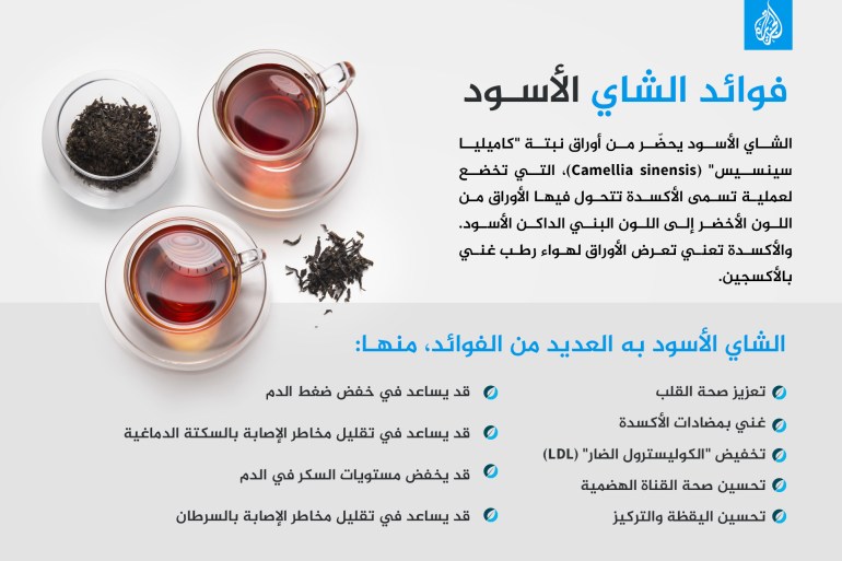 فوائد الشاي الأسود شاي الاشي tea إنفوغراف