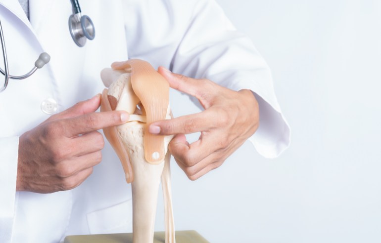 Closeup, Professional Doctor pointed on area of model knee joint. medical and orthopedic concept. Image with a soft focus, Copy space