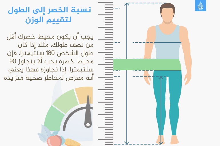 نسبة الخصر إلى الطول لتقييم الوزن وزن سمنة الجسم كرش دهون إنفوغراف