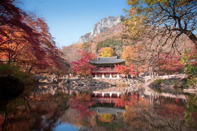 كوريا الجنوبية: منظر خريفي المصدر: بيكسابي