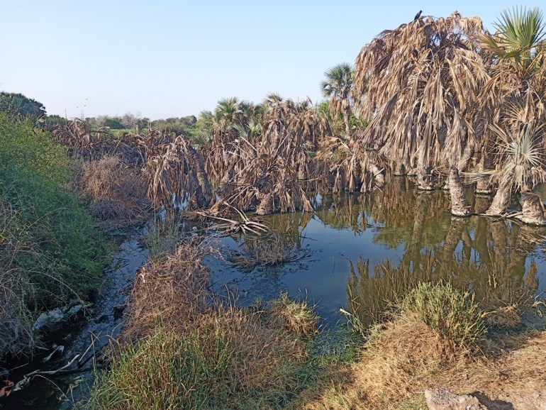 The reserve has been transformed into a waste collection site and a wastewater collection site (Aden - Samir Hassan - Khas - Al Jazeera)
