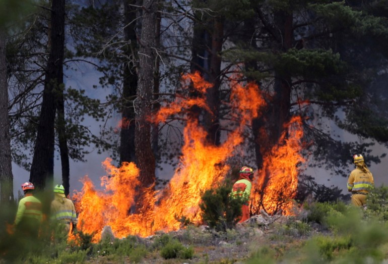 Fire at the Sierra de la Culebra in Zamora