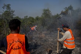 Forest fire in northern Morocco not yet under control