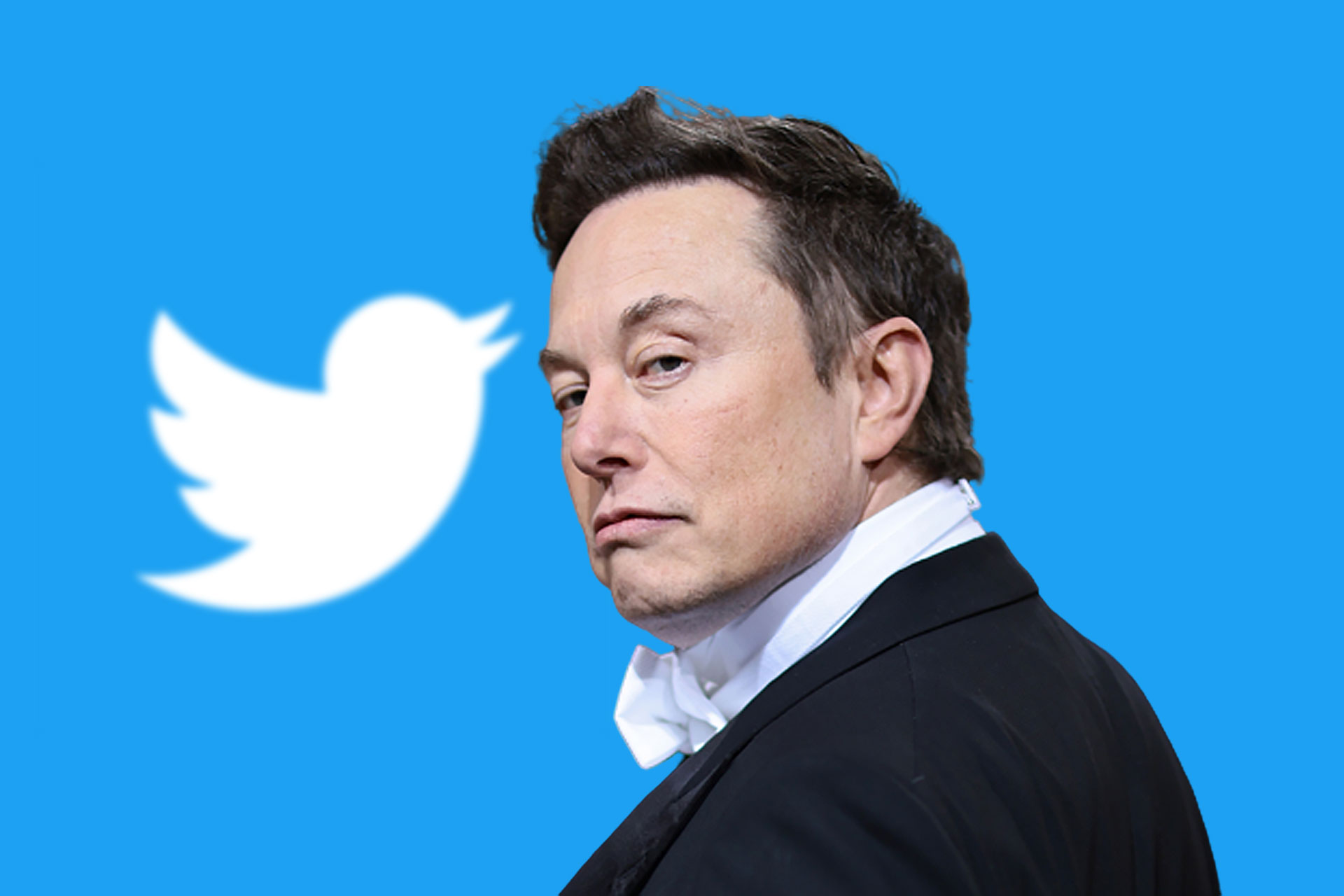 Elon Musk : Twitter respectera les lois européennes contre la désinformation et la haine  technologie