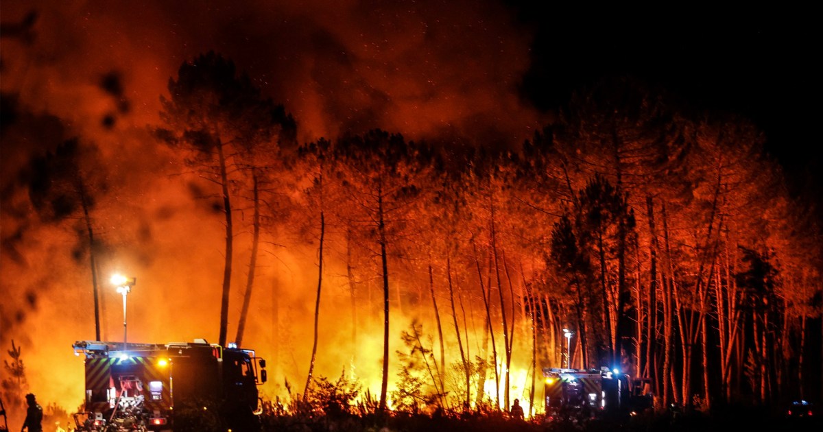 Une canicule sans précédent.  Les pays européens enregistrent les températures les plus élevées de leur histoire et combattent les incendies de forêt |  Nouvelles de la politique