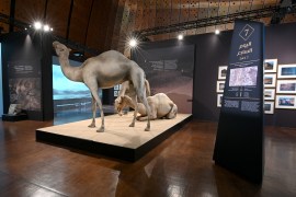 A picture shows an installation related to the 1,400-year-old story of the Hijrah, Prophet Mohammed's migration from Mecca to Medina, at the Ithra Museum in the eastern Saudi city of Dhahran, on July 30, 2022. - The Ithra Museum in Dhahran, has opened to the public an exhibition that filmed re-enactments and contemporary art along with academic sources to tell the story of the Propeht's migration. (Photo by AFP)