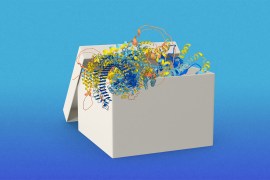 تنبأت "ألفافولد" بنجاح ببنية جميع البروتينات المعروفة للعلم تقريبا (ألفافولد- ديب مايند) https://wp.technologyreview.com/wp-content/uploads/2022/07/Open-Box-proteins.jpeg