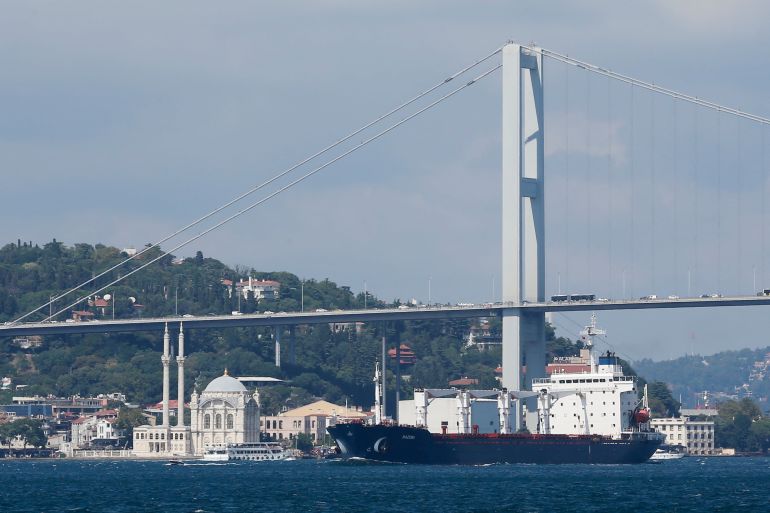 The Sierra Leone-flagged cargo ship Razoni sails in Istanbul's Bosphorus