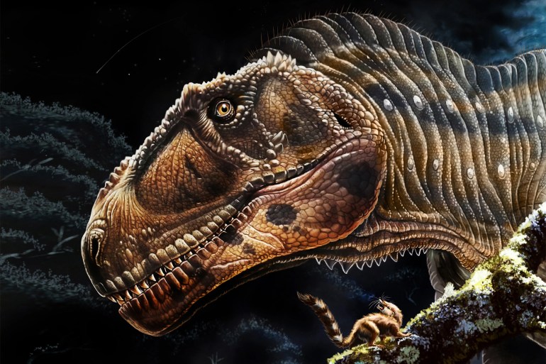 منذ اكتشف العلماء عظام الديناصورات الضخمة طرح الباحثون أفكارا عدة لتفسير شيوع الحيوانات العملاقة (يوريك ألرت)