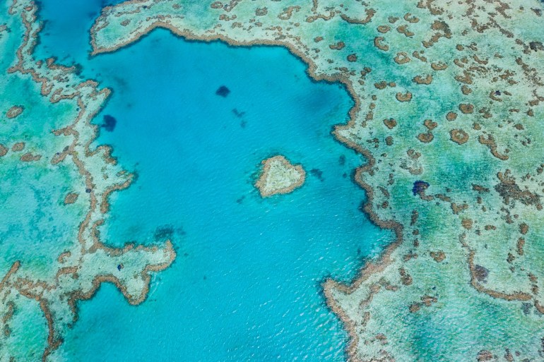 تأثيرات التغير المناخي على الشعاب المرجانية قد تؤثر على رسم الحدود البحرية الدولية (غيتي ايميجز)