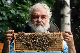 UNITED KINGDOM - JULY 23: John Chapple, chairman of the London Beekeepers Association, poses holding a section from one of the beehives he looks after in Lambeth Palace, London, U.K., on Thursday, July 23, 2008. Britain's bees are dying off, raising concerns among some beekeepers that colony collapse disorder, a U.S. phenomenon that has seen hives abandoned by their insect tenants, has spread to this side of the Atlantic. (Photo by Simon Dawson/Bloomberg via Getty Images)