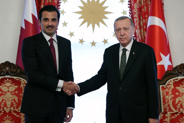 Recep Tayyip Erdogan - Tamim bin Hamad Al Thani meeting
