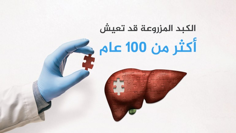 الكبد المزروعة قد تعيش أكثر من 100 عام