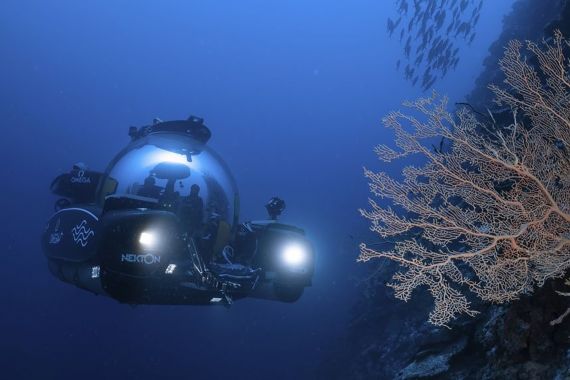 مهمة نيكتون مالديفز لاستكشاف واحة الحياة لأول مرة في أعماق المحيط الهندي