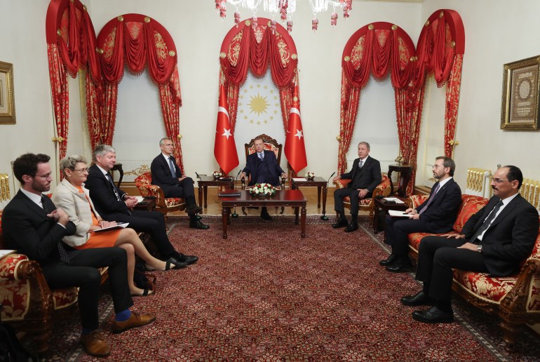 Erdogan-Stoltenberg meeting in