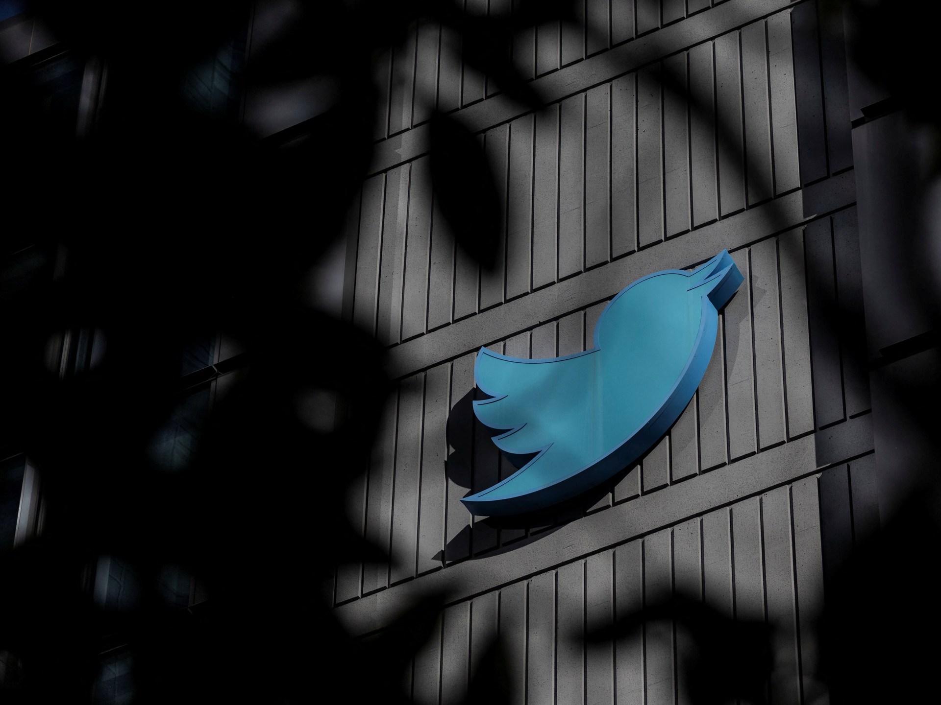 Rapport français : Twitter manque de transparence dans la lutte contre la désinformation |  La technologie