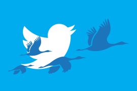 ظاهرة الطيور المهاجرة تهدد تويتر