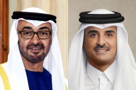 كومبو لأمير قطر ورئيس الإمارات محمد بن زايد