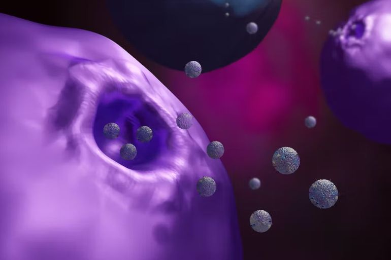 Cells secrete exosomes carrying molecules that play a critical role in both health and disease. Meletios Verras/iStock via Getty Images Plus