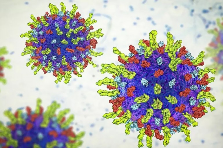 يأمل الباحثون في استخدام فيروس الهربس المعدل لتعزيز العلاج الجيني للأمراض الأخرى (غيتي)