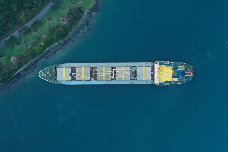 Maritime traffic in Bosphorus suspended as cargo ship runs aground