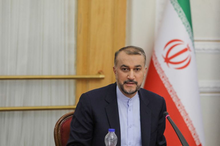 Iran's Foreign Minister Hossein Amir-Abdollahian speaks at the OANA summit in Tehran