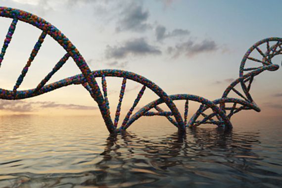 فحص الحمض النووي يوفر بيانات مهمة عن تدفق وتدوير وعمل أنظمة المياه الجوفية المعقدة (غيتي ايميجز)