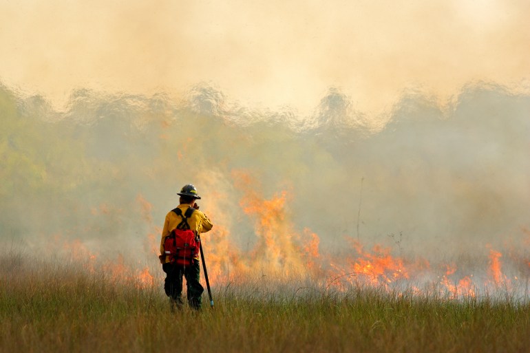 أكدت الدراسة على الآثار المدمرة للدخان الناجم عن حرائق الغابات الكبيرة على أنماط الطقس في مناطق بأكملها