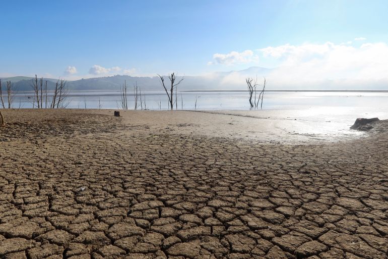 A view of a cracked ground near the Sidi El Barrak dam with depleted levels of water, in Nafza, west of the capital Tunis, Tunisia, January 7, 2023. REUTERS/Jihed Abidellaoui