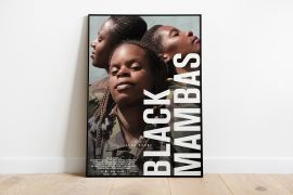 Black Mambas “الأفاعي السوداء”.. حارسات آخر قلاع المستعمرين البيض في جنوب أفريقيا المصدر: تصميم الجزيرة