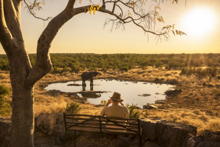 Namibia. Etosha National Park. GettyImages-503881943 حل أزمة المناخ وأزمة التنوع البيولوجي ليسا مسألتين منفصلتين، بل هما مترابطتين (غيتي)
