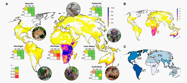 للاستخدام الداخلي فقط *** Concentrations of terrestrial mammal species with multiple future risk factors. Credit: Current Biology/Cardillo et al