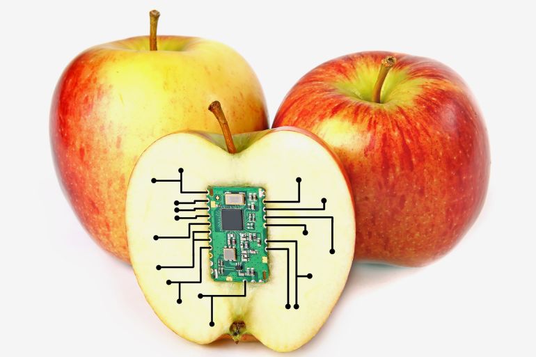 Electronic apples