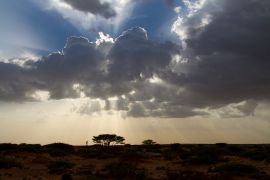 “بلاد الذهب”.. عائلة صومالية تعود من فنلندا لاستخراج كنوز أرضها