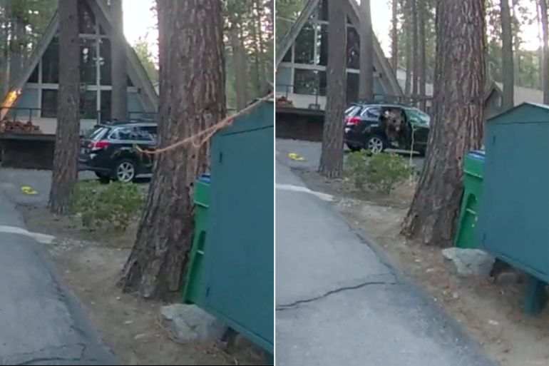 Trapped bear gets out of a vehicle after Washoe County Sheriff?s Office Incline patrol opened the door with a rope, in Washoe County, Nevada, U.S., May 28, 2023, in this screen grab obtained from a social media video. THIS IMAGE HAS BEEN SUPPLIED BY A THIRD PARTY. NO RESALES. NO ARCHIVES MANDATORY CREDIT