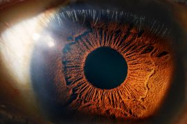 الميلانين يوفر الحماية الكيميائية المذهلة للعين ويحد من فقدان البصر (غيتي)