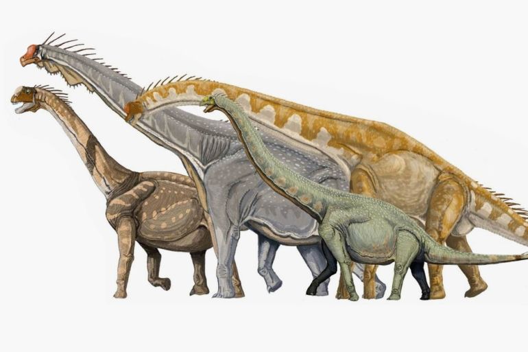 Art by Killdevil, image from Wikipedia. ORIGINALLY CONSIDERED TO BE A BRACHIOSAUR (MIDDLE), QIAOWANLONG PROBABLY RESEMBLED EUHELOPUS (RIGHT FOREGROUND) MORE CLOSELY. credit: Art by Killdevil