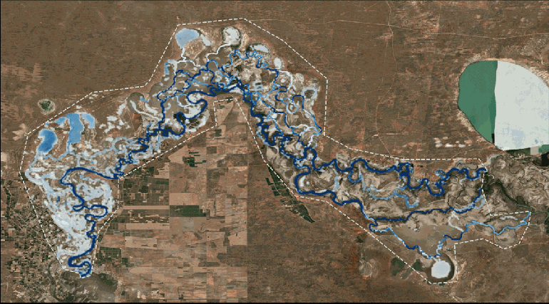 Flood inundation in the Chowilla floodplain as simulated using the LSG model. GIF: Supplied