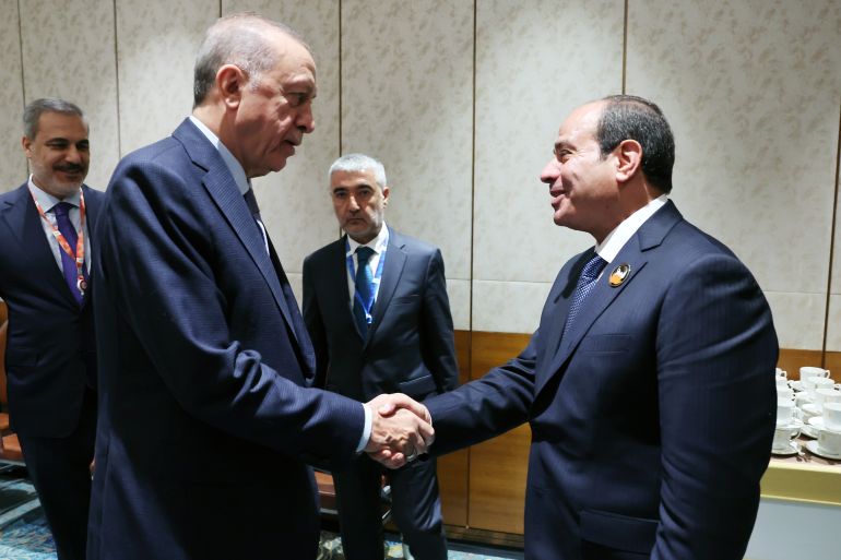 Recep Tayyip Erdogan - Abdel Fattah Al-Sisi meeting in India